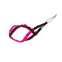 Open-Back Zuggeschirr für kleine & kompakte Hunde – ergonomisch, verstellbar & sicher