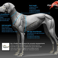 Open-Back Zuggeschirr für kleine & kompakte Hunde – ergonomisch, verstellbar & sicher