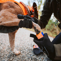 Nonstop Protector Bootie beim Anziehen am Hund