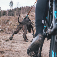 Nonstop Protector Bootie am Hund beim Laufen