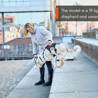 Rock Harness Long Non-Stop