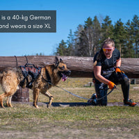 Rock Harness Long Non-Stop