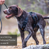 Rock Harness Long Non-Stop