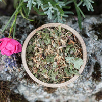 Pipilotta bei Scheinträchtigkeit