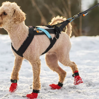 Non-stop Dogwear Freemotion H-Back Zughundegeschirr
