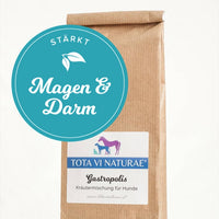 Gastropolis für den Magen