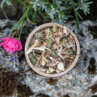 Gastropolis für den Magen