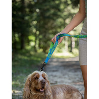 Inlandsis Leine Polaris