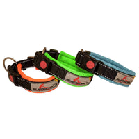 Sledwork Halsband Racing Collar- Arctic click