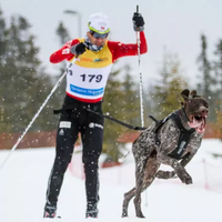 Non-stop Dogwear Freemotion H-Back Zughundegeschirr