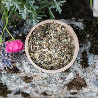 Glühwürmchen Darmabwehr