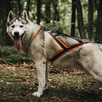 Zuggeschirr Sledwork Xback Active G2