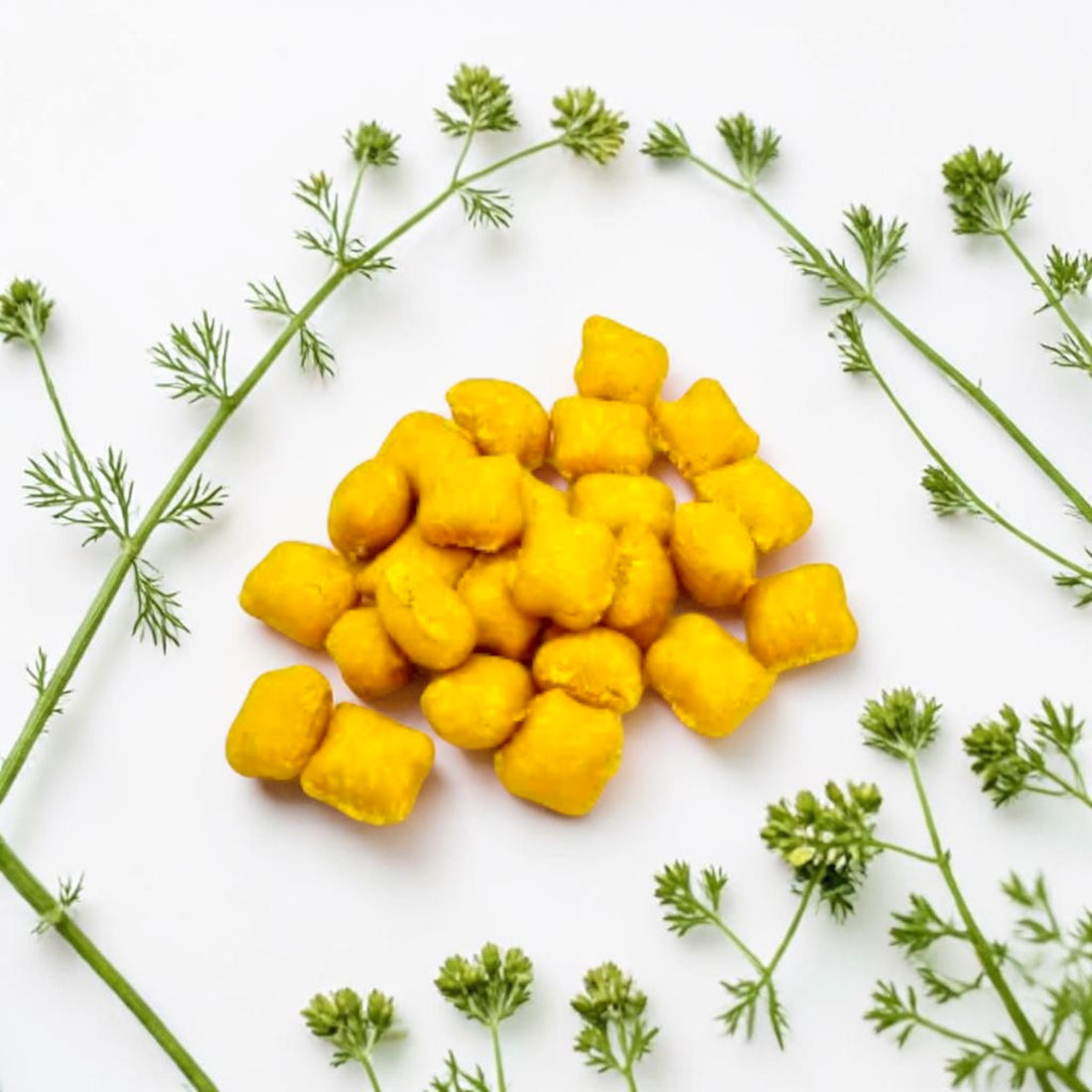 Knusperkissen Karibik – fruchtiger Hundesnack mit Ananas & Kokos