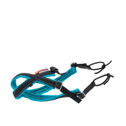 Speedy GonHarness – Zuggeschirr für kleine Hunde