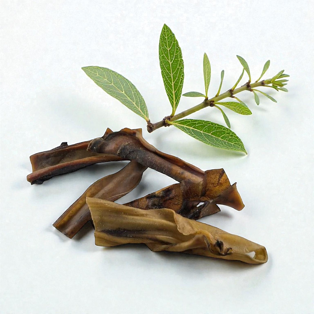 Kamelkopfhaut Ultra hart