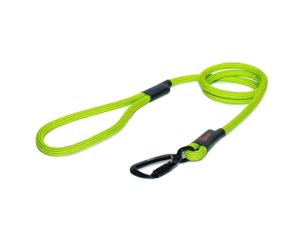 Klassische Hundeleine L (Ø 11 mm)  – 1,75 m