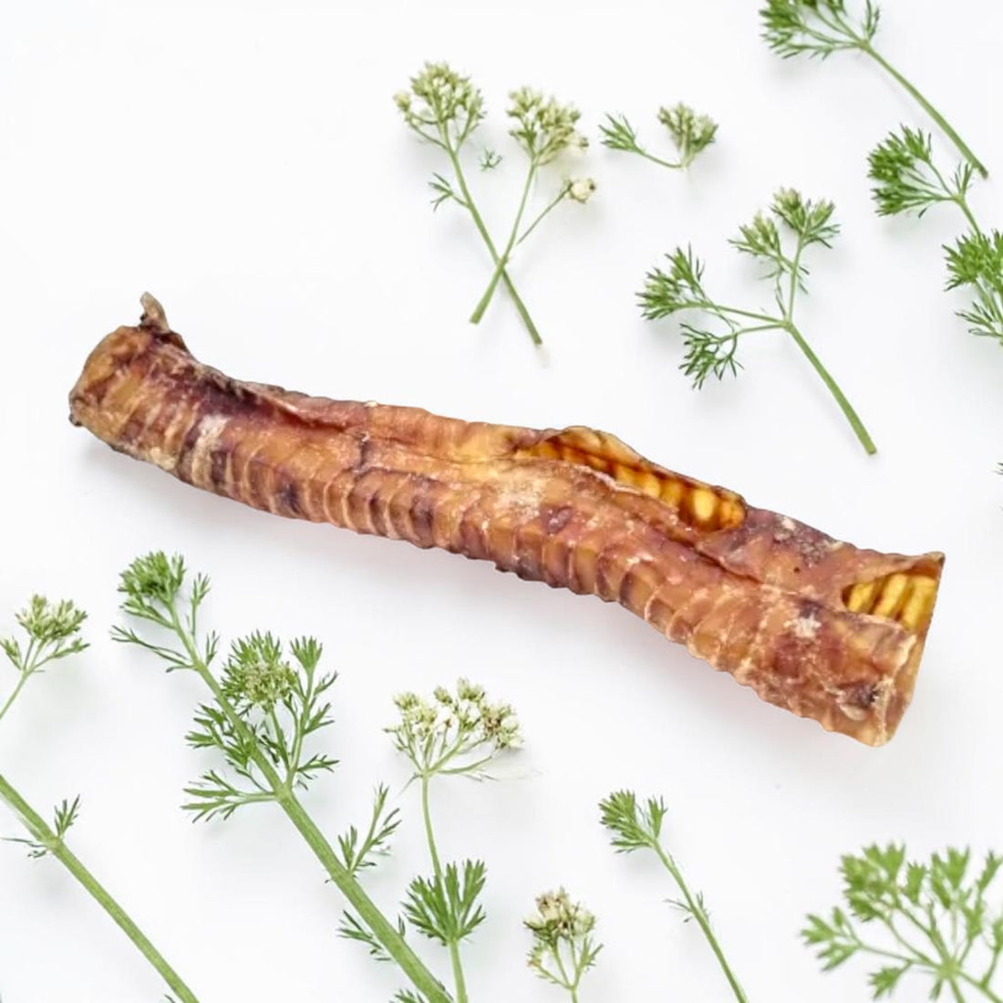 Rinderstrosse 20 cm– natürlicher Knorpel-Kauartikel für Hunde