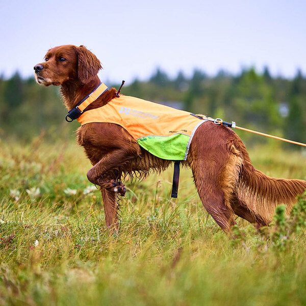 Non-stop dogwear Protector Round Long Line – Robuste Schleppleine 10 & 15 m