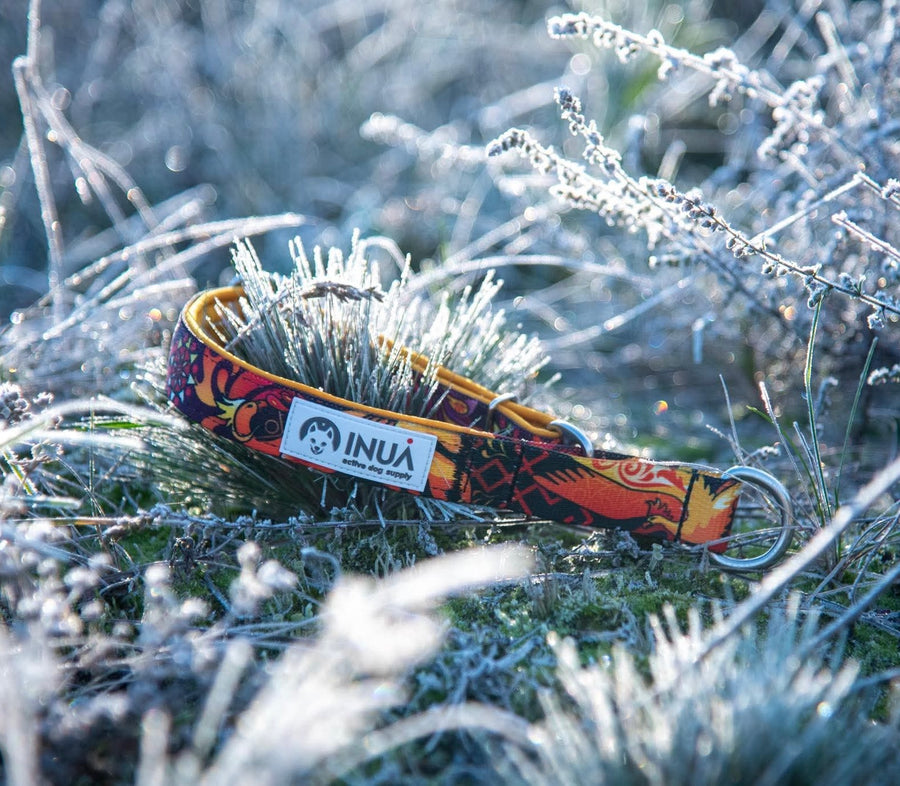 INUA Zugsport Halsband Soft – mit Neoprenpolsterung