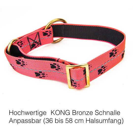 Axaeco Schlittenhundehalsband Reflex