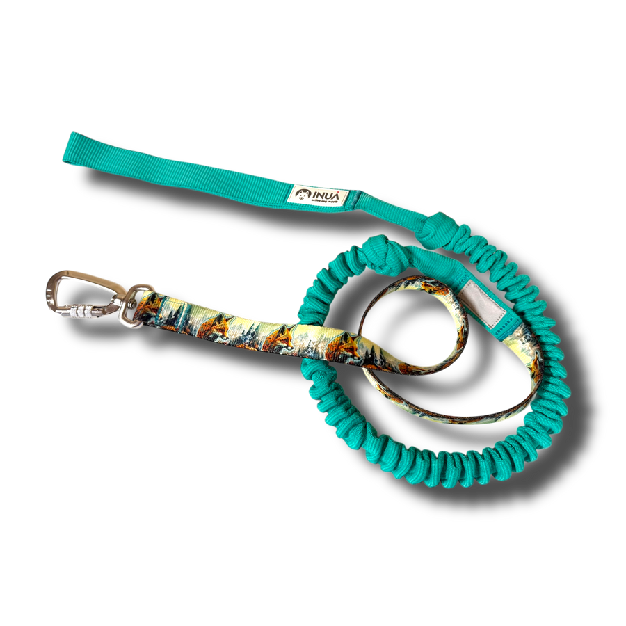 Canicross Leine InuaDogs | Einzigartige Muster und Designs