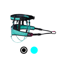 CaniX Belt 2.0 – Ergonomischer Laufgurt für Canicross (Schwarz oder Aqua)