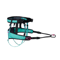 CaniX Belt 2.0 – Ergonomischer Laufgurt für Canicross (Schwarz oder Aqua)