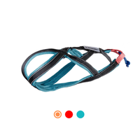 Sledwork Xback Active G2 "mini"