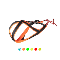 Zuggeschirr Sledwork Xback Active G2