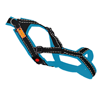 Trailgeschirr Snowpaws Nukka Airmesh Petrol
