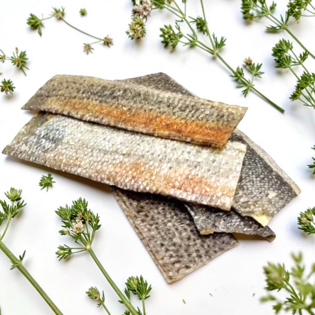 Forellenhautstreifen getrocknet – natürlicher Kauartikel mit Omega-3 für Hunde