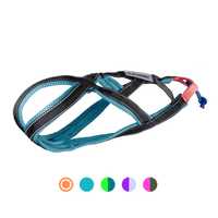 Sledwork Xback Active G2 "mini"