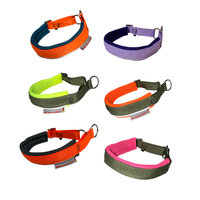 Sledwork Active Collar – Zugstopp Halsband in Sonderfarben Lila Flida, Anthrazit Orange & Petrol Orange