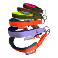 Sledwork Active Collar – Zugstopp Halsband in Sonderfarben Lila Flida, Anthrazit Orange & Petrol Orange