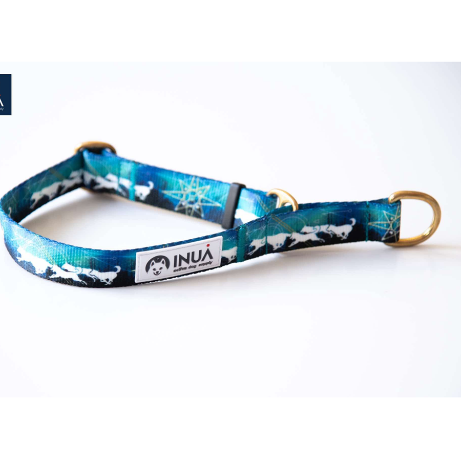 Inua Dogs Zugstopp Halsband