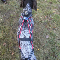 Kainpo Sprint Zuggeschirr Kainpo – Performance-Geschirr für Canicross, Bikejöring & Dogscooter