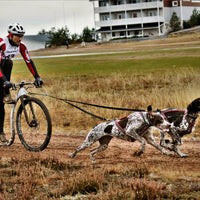 Kainpo Sprint Zuggeschirr Kainpo – Performance-Geschirr für Canicross, Bikejöring & Dogscooter