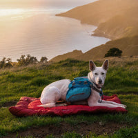 Loft Wander Bet - Reisebett für Hunde