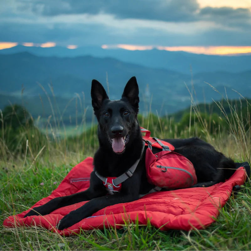 Loft Wander Bet - Reisebett für Hunde