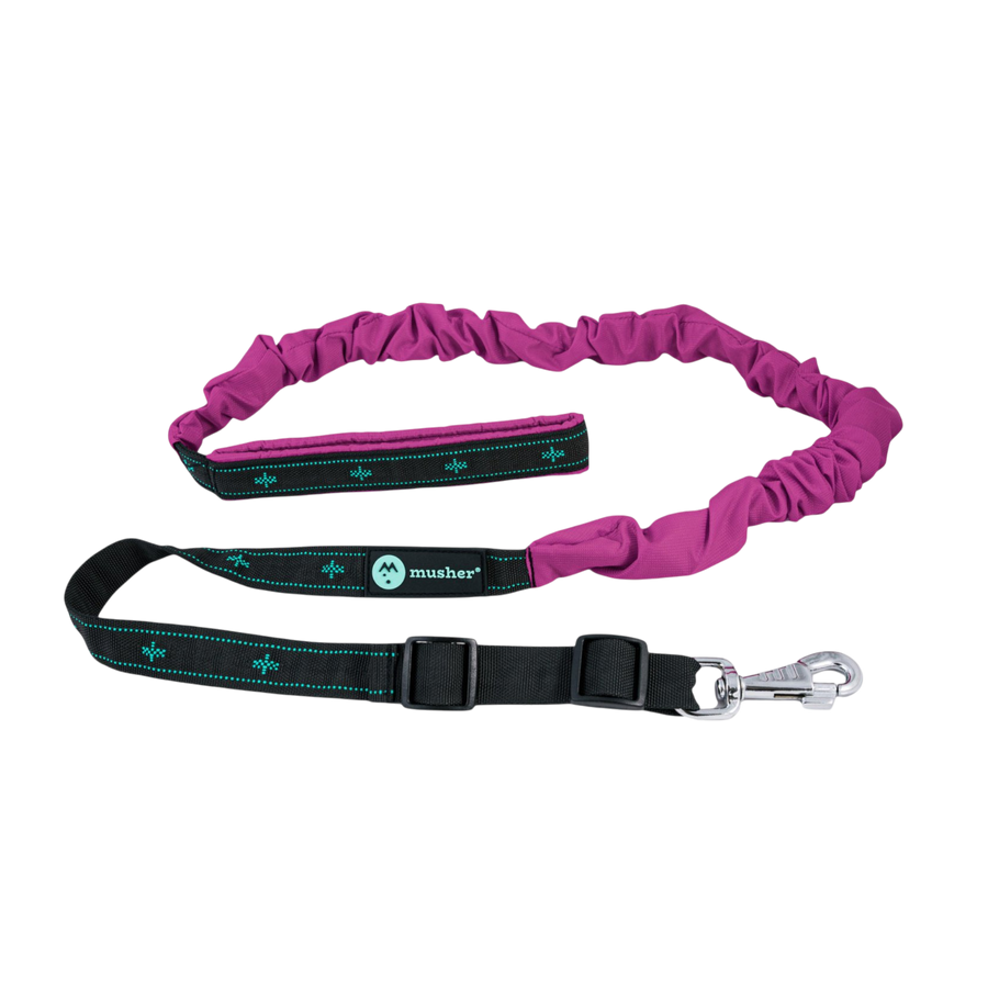 Freespirit Bungee-Leine Musher – verstellbar, 25 mm, gepolsterter Griff