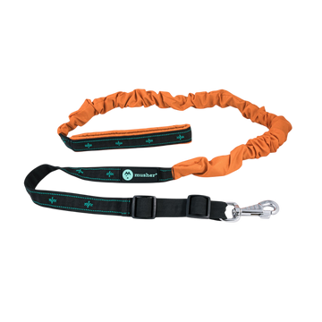 Freespirit Bungee-Leine Musher – verstellbar, 25 mm, gepolsterter Griff