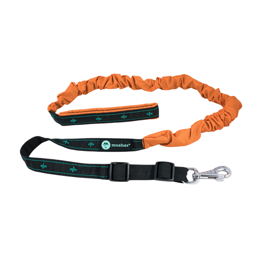 Freespirit Bungee-Leine Musher – verstellbar, 25 mm, gepolsterter Griff