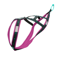 Musher KOYUK R-Back – Zuggeschirr für Hobby & Sport