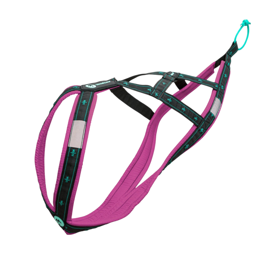 Musher KOYUK R-Back – Zuggeschirr für Hobby & Sport