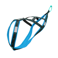 Musher KOYUK R-Back – Zuggeschirr für Hobby & Sport