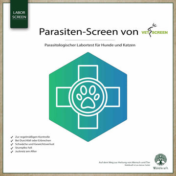 Parasiten-Screen