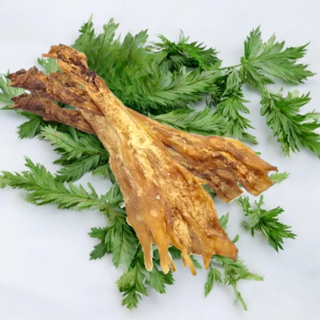 Rinderachillessehnen – Pinewoodhuskys