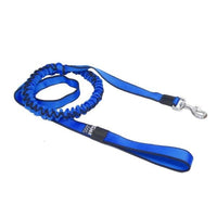 Sali Bungee-Leine – elastische Zughundeleine für Canicross, Bikejöring & Dogscooter