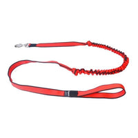 Sali Bungee-Leine – elastische Zughundeleine für Canicross, Bikejöring & Dogscooter