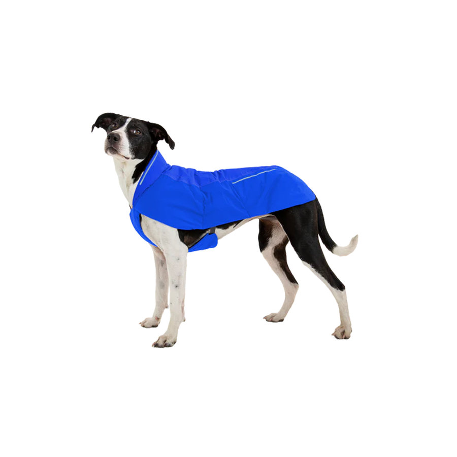 Ruffwear Vert Hundejacke in Blau an einem Schwarz weißem Hund